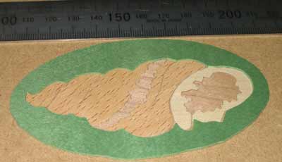 The marquetry shell before it was shaded using hot sand